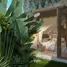 2 Bedroom House for sale at Era Tropical Residence, Koh Phangan, Koh Phangan, Surat Thani, Thailand