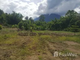  Land for sale in Chiang Dao, Chiang Mai, Chiang Dao, Chiang Dao