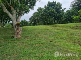  Grundstück zu verkaufen in Chiang Rai, Huai Sak, Mueang Chiang Rai, Chiang Rai