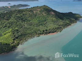  Terrain for sale in Lo Yung, Takua Thung, Lo Yung