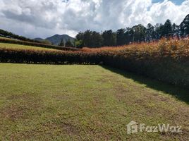 Земельный участок, N/A на продажу в , Antioquia Aspen Hills