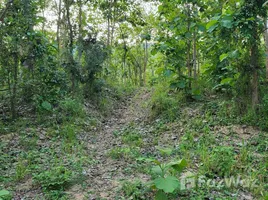 ขายที่ดิน ใน หินเหล็กไฟ, หัวหิน, หินเหล็กไฟ, หัวหิน, ประจวบคีรีขันธ์