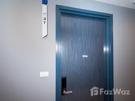 คอนโด 1 ห้องนอน ให้เช่า ในโครงการ เอ็กซ์ที เอกมัย, คลองตันเหนือ, วัฒนา, กรุงเทพมหานคร