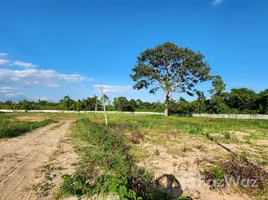  Land for sale in Chonnabot, Khon Kaen, Chonnabot, Chonnabot