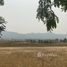 Land for sale in Chiang Rai, Rong Chang, Pa Daet, Chiang Rai