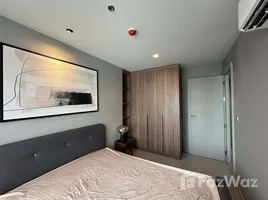 คอนโด 1 ห้องนอน ให้เช่า ในโครงการ ไลฟ์ ลาดพร้าว, จอมพล