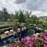 2 спален Квартира в аренду в The Chava Resort, Чернг Талай, Тхаланг, Пхукет