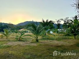 ขายที่ดิน ใน ฉลอง, ภูเก็ต, ฉลอง