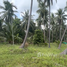  Land for sale in Ko Pha-Ngan, Surat Thani, Ko Pha-Ngan, Ko Pha-Ngan