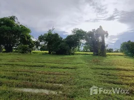 在清迈出售的 土地, Sa-Nga Ban, 萨科特山, 清迈