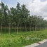  Land for sale in Thep Krasattri, Thalang, Thep Krasattri