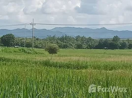 ขายที่ดิน ใน นาแก้ว, ลำปาง, นาแก้ว, เกาะคา, ลำปาง, ไทย