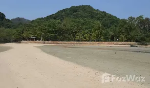 N/A Grundstück zu verkaufen in Ko Yao Noi, Phangnga 