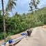  Land for sale in Koh Samui, Maenam, Koh Samui