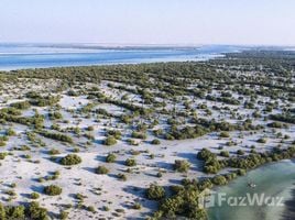 3 غرفة نوم منزل للبيع في Al Jubail Island, Saadiyat Beach, Saadiyat Island, أبو ظبي