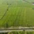 ขายที่ดิน ใน เชียงใหม่, สันโป่ง, แม่ริม, เชียงใหม่