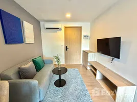 อพาร์ทเม้นท์ 1 ห้องนอน ให้เช่า ในโครงการ THE BASE Bukit, วิชิต, เมืองภูเก็ต, ภูเก็ต