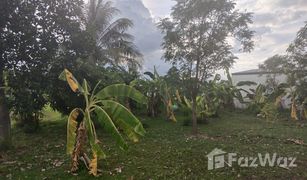 N/A Land for sale in San Sai Luang, Chiang Mai 