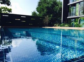 2 Bedrooms Condo for sale in Suthep, Chiang Mai Stylish Chiangmai