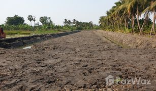 N/A Grundstück zu verkaufen in Sam Phran, Nakhon Pathom 