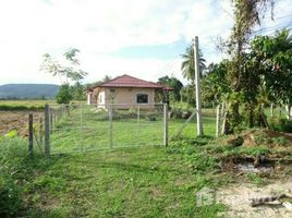 4 Bedrooms House for sale in Huai Chomphu, Chiang Rai 4 Bedroom House With Land In Chiang Rai
