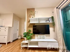 คอนโด 1 ห้องนอน ให้เช่า ในโครงการ เดอะ ทรัสต์ คอนโด พัทยาใต้, เมืองพัทยา, พัทยา