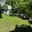 4 Bedroom House for rent in Phra Khanong Nuea, Bangkok, Phra Khanong Nuea