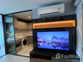 1 Bedroom Condo for rent at Life Ladprao, Chomphon, Chatuchak, Bangkok