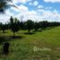  Terrain for sale in Brésil, Presidente Figueiredo, Amazonas, Brésil