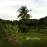  Grundstück zu verkaufen in Pa Khlok, Phuket, Pa Khlok, Thalang