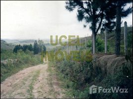  Land for sale at Centro, Itanhaem