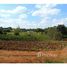  Land for sale at Jardim Florença, Fernando De Noronha, Fernando De Noronha