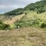  Land for sale in Cartago Cartago, Cartago, Cartago, Costa Rica
