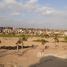4 Habitación Villa en venta en Palm Hills Golf Views, Cairo Alexandria Desert Road