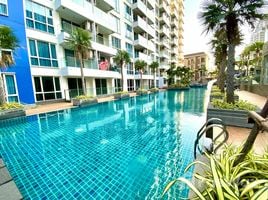 1 Bedroom Condo for rent at The Cliff Pattaya, Nong Prue