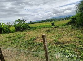  Grundstück zu verkaufen in Mae Lao, Chiang Rai, Bua Sali, Mae Lao