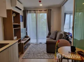 在KL Sentral租赁的开间 公寓, Bandar Kuala Lumpur, Kuala Lumpur, 吉隆坡