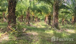 N/A Grundstück zu verkaufen in Nong Kathao, Phitsanulok 