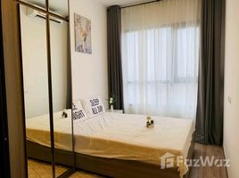 อพาร์ทเม้นท์ 1 ห้องนอน ให้เช่า ในโครงการ KnightsBridge Prime On Nut, พระโขนงเหนือ