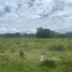Terrain à vendre à San Felipe De Puerto Plata, Puerto Plata, San Felipe De Puerto Plata