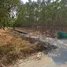  Land for sale in Phan Thong Chon Buri, Nong Hong, Phan Thong