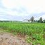  Земельный участок for sale in Kan Chu, Phetchabun, Kan Chu, Bueng Sam Phan, Phetchabun