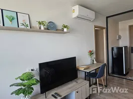 ขายอพาร์ทเม้นท์ 1 ห้องนอน ในโครงการ เดอะ เบส ไฮท์-เชียงใหม่, วัดเกต