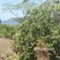  Land for sale in Hojancha, Guanacaste, Hojancha