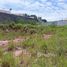  Terrain for sale in Fernando De Noronha, Rio Grande do Norte, Fernando De Noronha, Fernando De Noronha