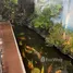 3 Habitación Villa en alquiler en Hoa Minh, Da Nang, Hoa Minh, Lien Chieu