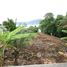  Land for sale in Patong, Kathu, Patong