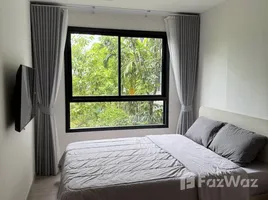 2 Bedroom Condo for rent at Dcondo Reef Phuket, Kathu