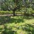  Terreno (Parcela) en venta en Costa Rica, Orotina, Alajuela, Costa Rica