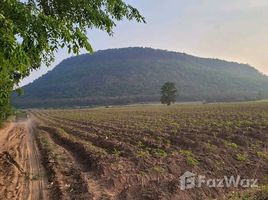  Land for sale in Nakhon Ratchasima, Bo Pla Thong, Pak Thong Chai, Nakhon Ratchasima